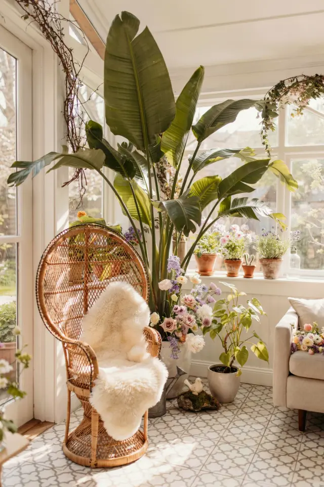 Houseplant Garden Decor Ideas | Outdoor Styling Tips for Greenery