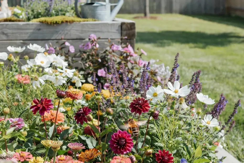 Backyard Landscaping for Privacy and Shade | Natural Fence & Tree Canopy Ideas