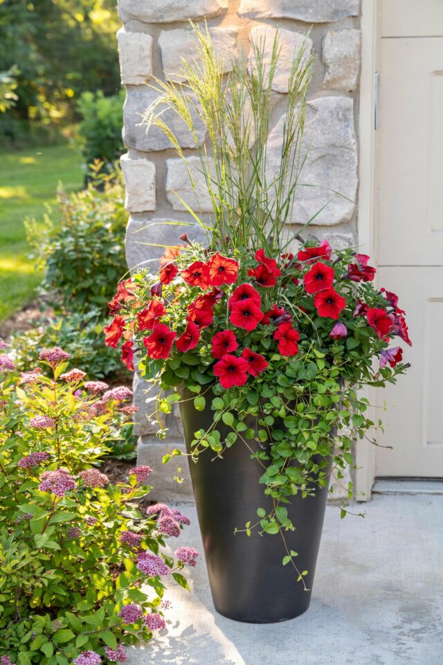 Front Porch Planter Ideas | 25 Welcoming Container Gardens & Window Boxes