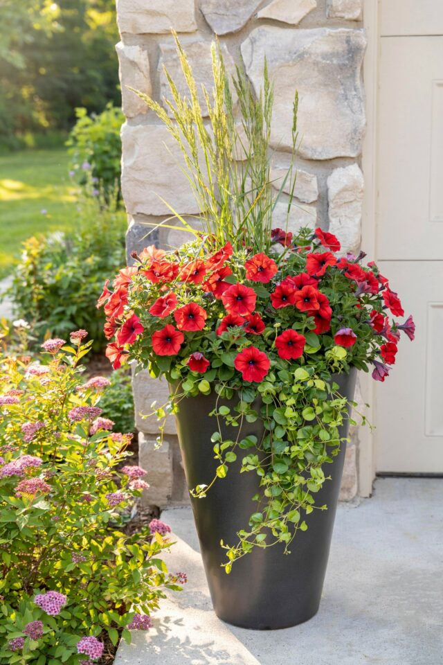 Front Garden Planter Ideas for Welcoming Porches | Budget-friendly Container Designs
