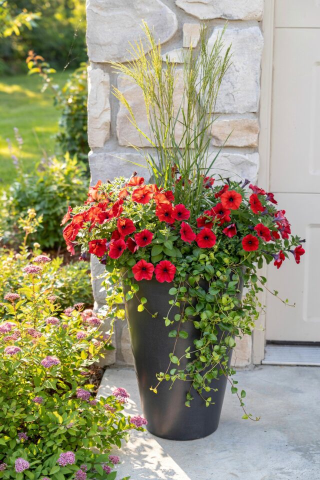 Front Porch Planter Ideas | Inexpensive Container Garden for Welcoming Entryways