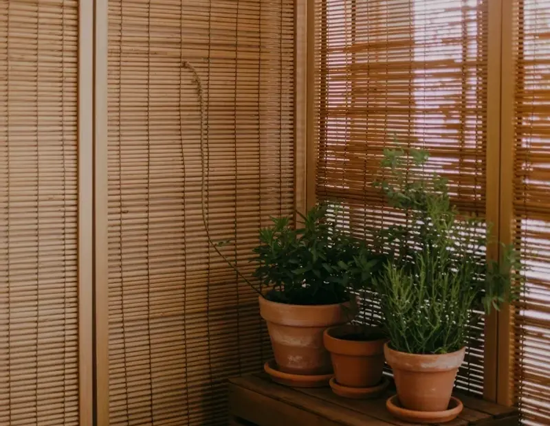 Rental Friendly Bamboo Privacy Screen Ideas for a Cozy Plant Corner