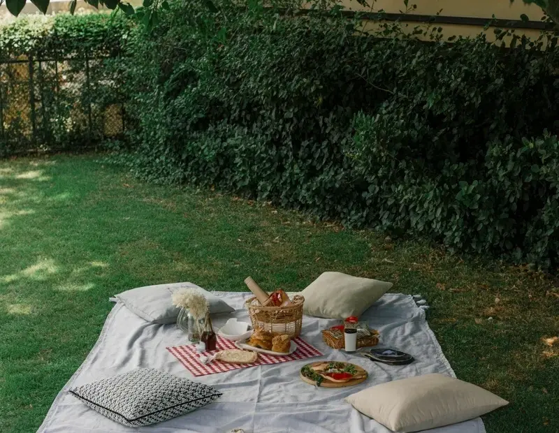 Picnic Aesthetic on a Green Lawn | Cozy Blanket Setup with Snacks